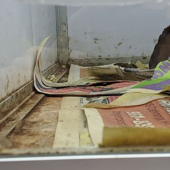 Wicks Water World - urine and feces soaked newspaper in an enclosure - Pet Stores Near Me - Crossville, Tennessee Wicks Water World - urine and feces soaked newspaper in an enclosure - Pet Stores Near Me - Crossville, Tennessee