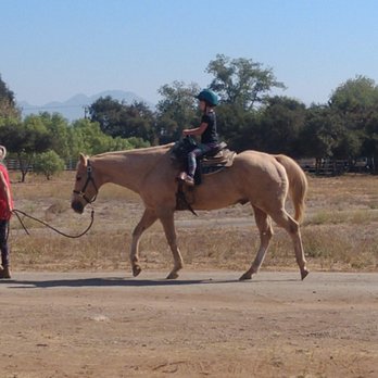 Western Trail Rides - Horseback Riding Near Me