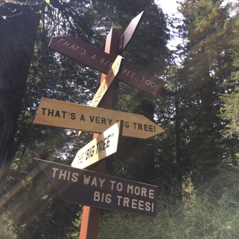 Prairie Creek Redwoods State Park - En route to the big trees-you'd think all the big trees would get old-it didn't - Parks Near Me - Orick, California Prairie Creek Redwoods State Park - En route to the big trees-you'd think all the big trees would get old-it didn't - Parks Near Me - Orick, California