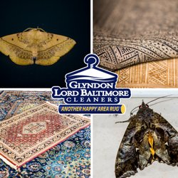 Glyndon Lord Baltimore Cleaners - Area Rug Cleaning and Repairs from insect damage