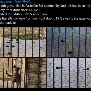 The Management Trust - photo album from my front door. This has been going on for 8 months... and now the fine me $100.00 for placing a curtain to block the view - Property Management Near Me - Tustin, California The Management Trust - photo album from my front door. This has been going on for 8 months... and now the fine me $100.00 for placing a curtain to block the view - Property Management Near Me - Tustin, California