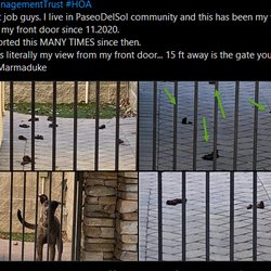 The Management Trust - photo album from my front door. This has been going on for 8 months... and now the fine me $100.00 for placing a curtain to block the view