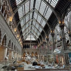Oxford University Museum Of Natural History