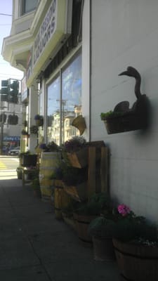 Park Presidio Liquors by null