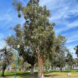 Banning Park & Recreation center