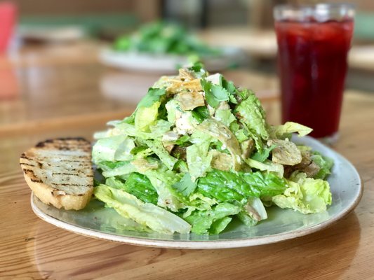 Tender Greens by null