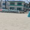 Hollywood Sands Resort gift card