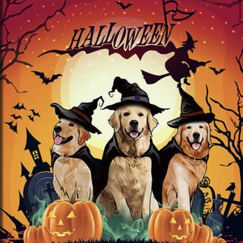 Vail Ranch Goldens - Happy Halloween everybody - Pet Breeders Near Me Vail Ranch Goldens - Happy Halloween everybody - Pet Breeders Near Me