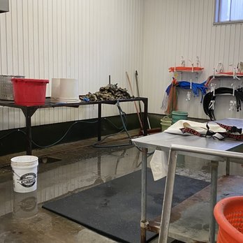 Jandy Oyster - That's oysters in the back! - Seafood Markets Near Me - Tillamook, Oregon