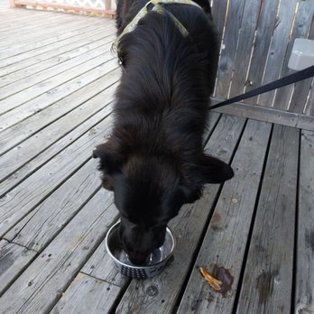 Shaw's Landing - Dog friendly! - Seafood Near Me - West Dover, Nova Scotia Shaw's Landing - Dog friendly! - Seafood Near Me - West Dover, Nova Scotia