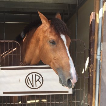Paso Robles Horse Park - Tush showing his sweet face. - Venues & Event Spaces Near Me - Paso Robles, California Paso Robles Horse Park - Tush showing his sweet face. - Venues & Event Spaces Near Me - Paso Robles, California