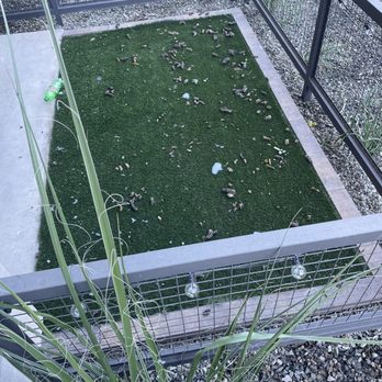 Riata Apartments - Poop - Apartments Near Me - Chandler, Arizona Riata Apartments - Poop - Apartments Near Me - Chandler, Arizona