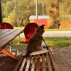 Campground Adventures