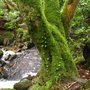 Photo of Massy's Estate