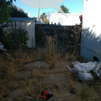 Pristine Lawn Care & Plus - Small clean up - Lawn Services Near Me - Livermore, California Pristine Lawn Care & Plus - Small clean up - Lawn Services Near Me - Livermore, California