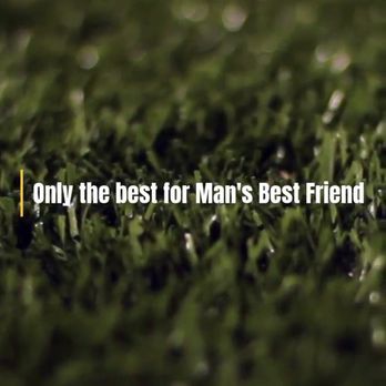 Turfworx - Our pet turf called Man's Best Friend is naturally beautiful, durable, permeable, and comes with a 16 year warranty. - Artificial Turf Near Me - El Cajon, California Turfworx - Our pet turf called Man's Best Friend is naturally beautiful, durable, permeable, and comes with a 16 year warranty. - Artificial Turf Near Me - El Cajon, California