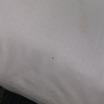 Crowne Plaza Memphis Downtown - Ants - Hotels Near Me - Memphis, Tennessee