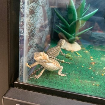 Petco - Pet Stores Near Me - San Ramon, California
