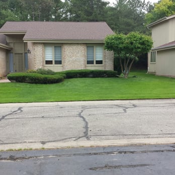 Omar's Tree Service - Tree Services Near Me