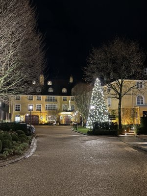 The Killarney Park by null