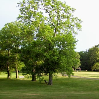 Glenn Hall Park - Playgrounds Near Me - Sacramento, California