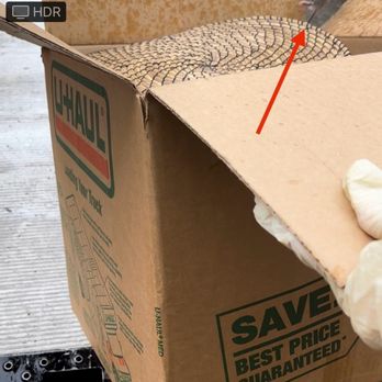 Public Storage - Rat jumping out of box - Self Storage Near Me - Atlanta, Georgia