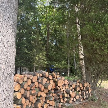 J and M Tree Service - Nicely stacked logs they left for our campfires. - Tree Services Near Me J and M Tree Service - Nicely stacked logs they left for our campfires. - Tree Services Near Me
