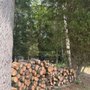 Photo of J and M Tree Service