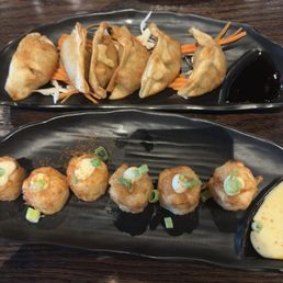 Pork Gyoza and Shrimp Shumai