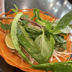 Pho 77