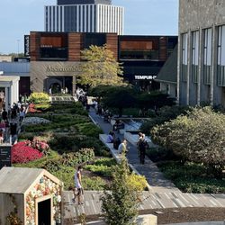 Crate & Barrel - View from the balcony