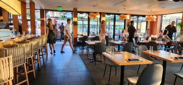 Morimoto Maui by null