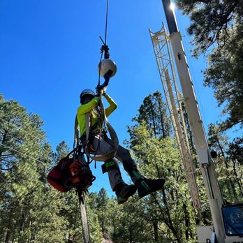 RIM Outdoor Solutions - Crane tree removal - Tree Services Near Me RIM Outdoor Solutions - Crane tree removal - Tree Services Near Me
