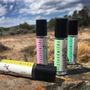 Photo of Dryland Wilds