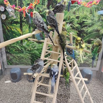 Petco - Pet Stores Near Me - Irondequoit, New York