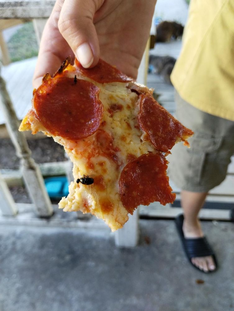 Pizza Patrón Ayers Street Corpus Christi Reviews LITTLE CAESAR’S PIZZA - Updated April 2024 - 4208 Ayers St, Corpus