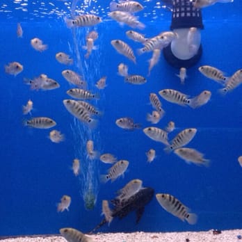 Xtreme Fish & Pets - Pet Stores Near Me - Houston, Texas