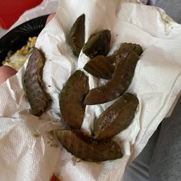 Avocado Avocado