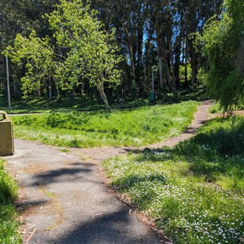Monte Verde Park - Walking path back up towards the exit - Parks Near Me - San Bruno, California Monte Verde Park - Walking path back up towards the exit - Parks Near Me - San Bruno, California