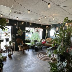 The Wicked Plant