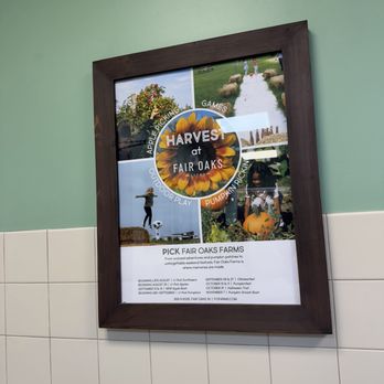 Fair Oaks Farms - How cool!! - Attraction Farms Near Me - Fair Oaks, Indiana
