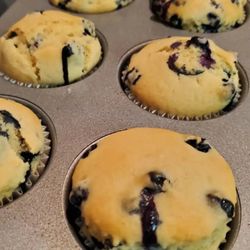 Moe's Vegan Bites - Large blueberry muffins with a TOUCH of lemon.