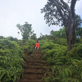 Kuliouou Ridge Trail - Killer stairs! - Hiking Near Me - Honolulu, Hawaii Kuliouou Ridge Trail - Killer stairs! - Hiking Near Me - Honolulu, Hawaii