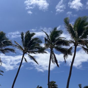 Sandy Beach Park - Parks Near Me - Honolulu, Hawaii Sandy Beach Park - Parks Near Me - Honolulu, Hawaii