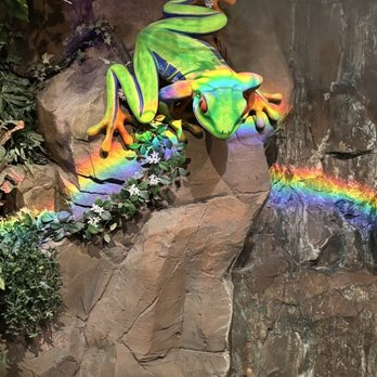 Rainforest Cafe - American Near Me - Atlantic City, New Jersey