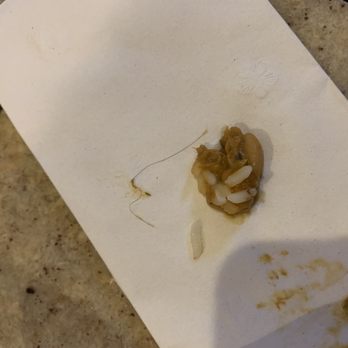 Yats - Hair in food. - Cajun/Creole Near Me - Noblesville, Indiana Yats - Hair in food. - Cajun/Creole Near Me - Noblesville, Indiana