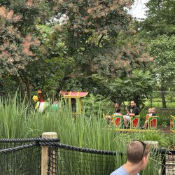 Pirate's Cove Childrens Theme Park - Safari Train Ride