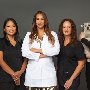 Stellar Smiles - Come meet us at Stellar Smiles! - General Dentistry Near Me - Boca Raton, Florida Stellar Smiles - Come meet us at Stellar Smiles! - General Dentistry Near Me - Boca Raton, Florida