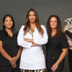 Stellar Smiles - Come meet us at Stellar Smiles!