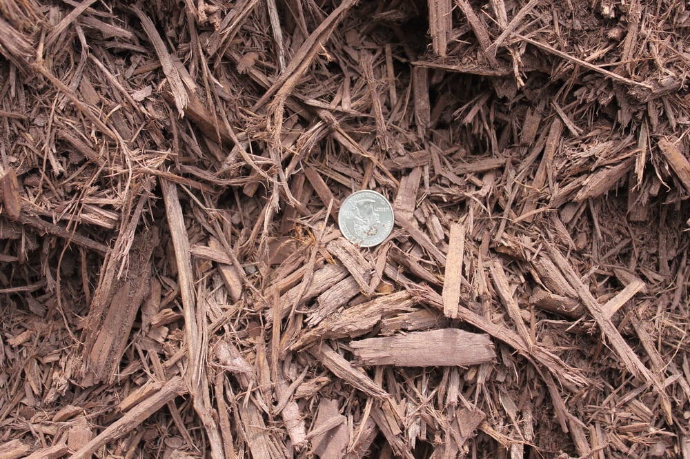 Sun & Rainfall Bulk Yard